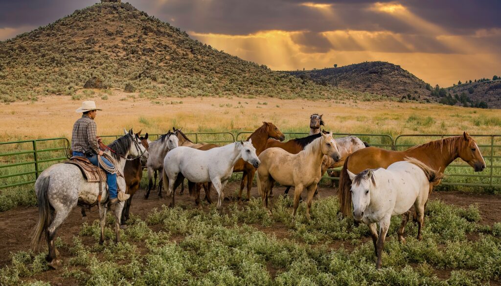 International Trade Enforcement Roundup – September 2024