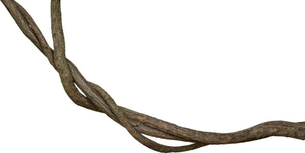 The Parties May Disagree About the Interpretation of the Facts, But that Does Not Create a Factual Issue