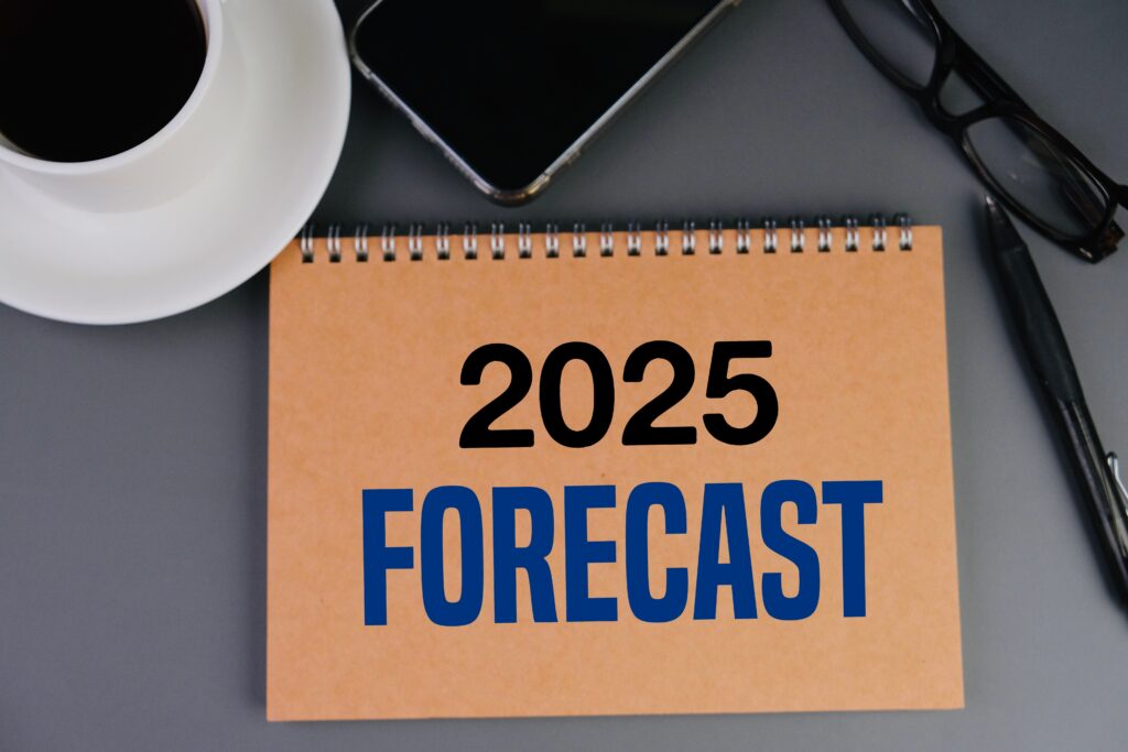 Cyber Risks and Insurance 2025 Forecast