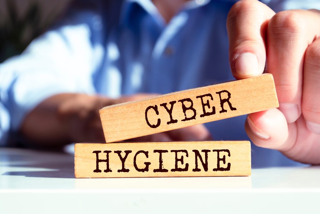 CISA Report Touts Cyber Hygiene Enrollment Surge for Critical Infrastructure Orgs