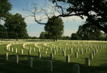 Court Denies Injunction, Finds Cemetery Project Can’t Wait for Appeal of Bid Protest