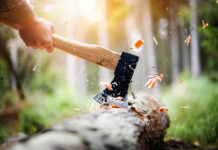 A Firm-Fixed-Price is a Firm-Fixed-Price: Contractor’s Claim for Increased Lumber Costs Is DOA