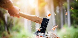 A Firm-Fixed-Price is a Firm-Fixed-Price: Contractor’s Claim for Increased Lumber Costs Is DOA