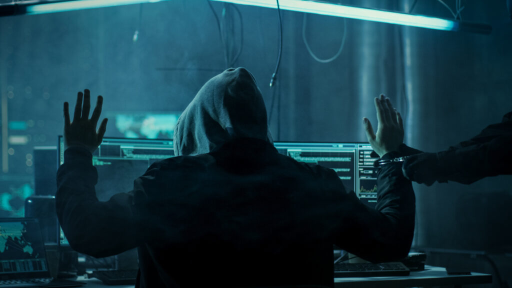 Kosovar Administrator of Cybercrime Marketplace Extradited to US