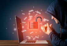 White House Mobilizes Security Firms for Operations Against Foreign Cybercrime Gangs