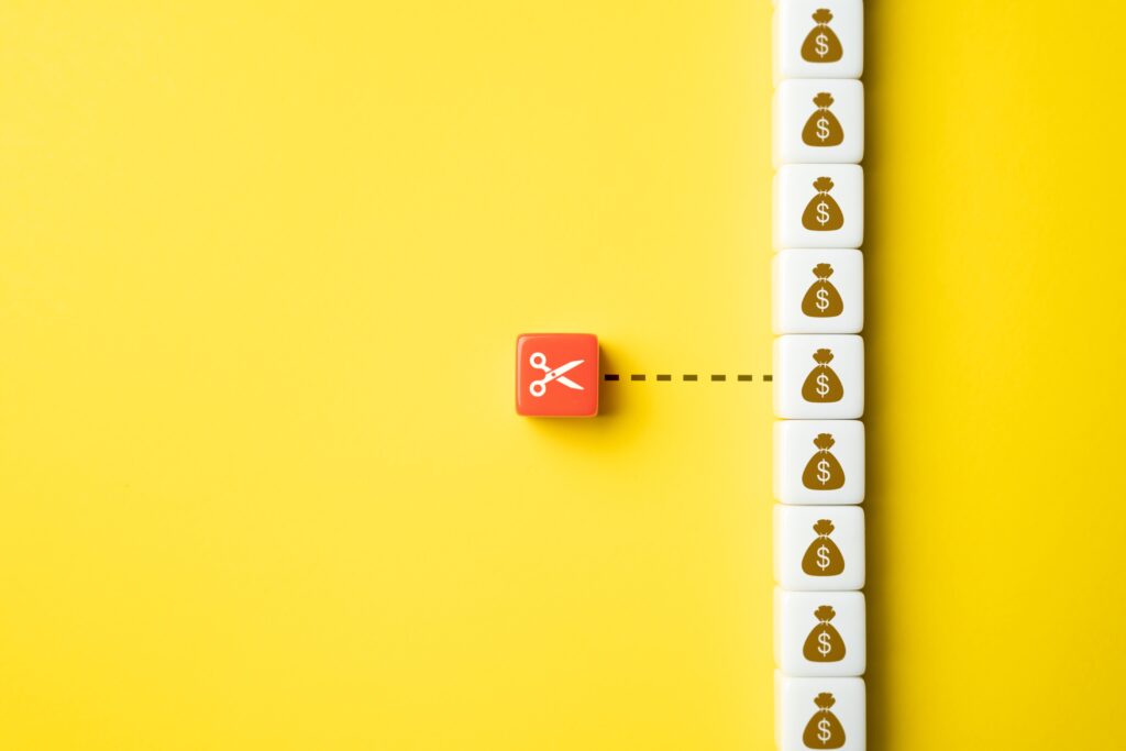 House Committee Sets CISA Budget Cut at $135M, Not Trump’s $495M