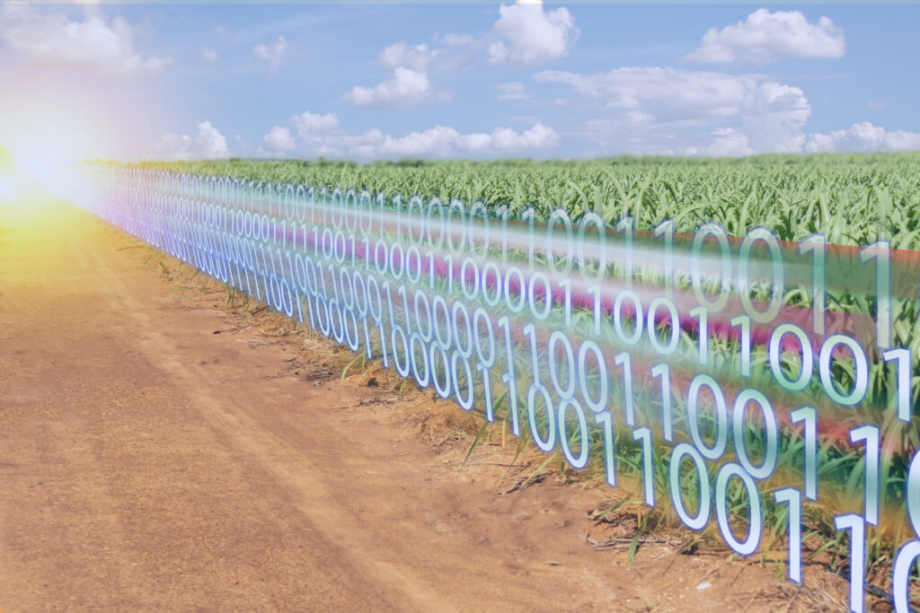 Rise of AI Could Lead to Additional Cyber Security risk For Ag Sector
