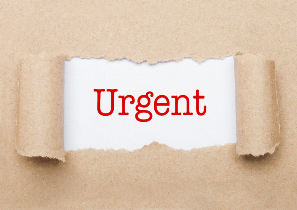 GAO Backs Sole-Source Award Due to a Critical Need Before Troop Deployment