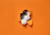 How Defensive Cyber Responds to Hockey-Stick Growth of AI-Driven Threats