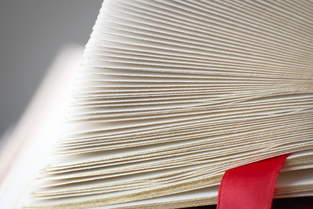 Protester Contended It Should Not Have Been Disqualified for Exceeding Proposal Page Limitations. GAO Was Not Persuaded.